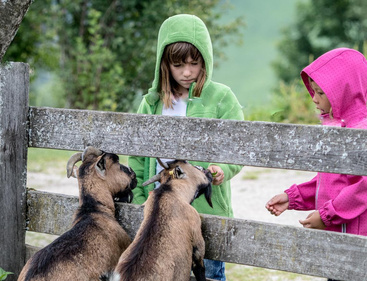 Christernhof Villa Maria Alm am Steinernen Meer Eksteriør billede