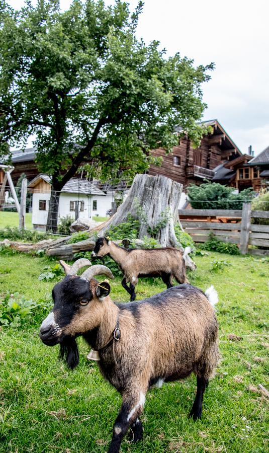 Christernhof Villa Maria Alm am Steinernen Meer Eksteriør billede