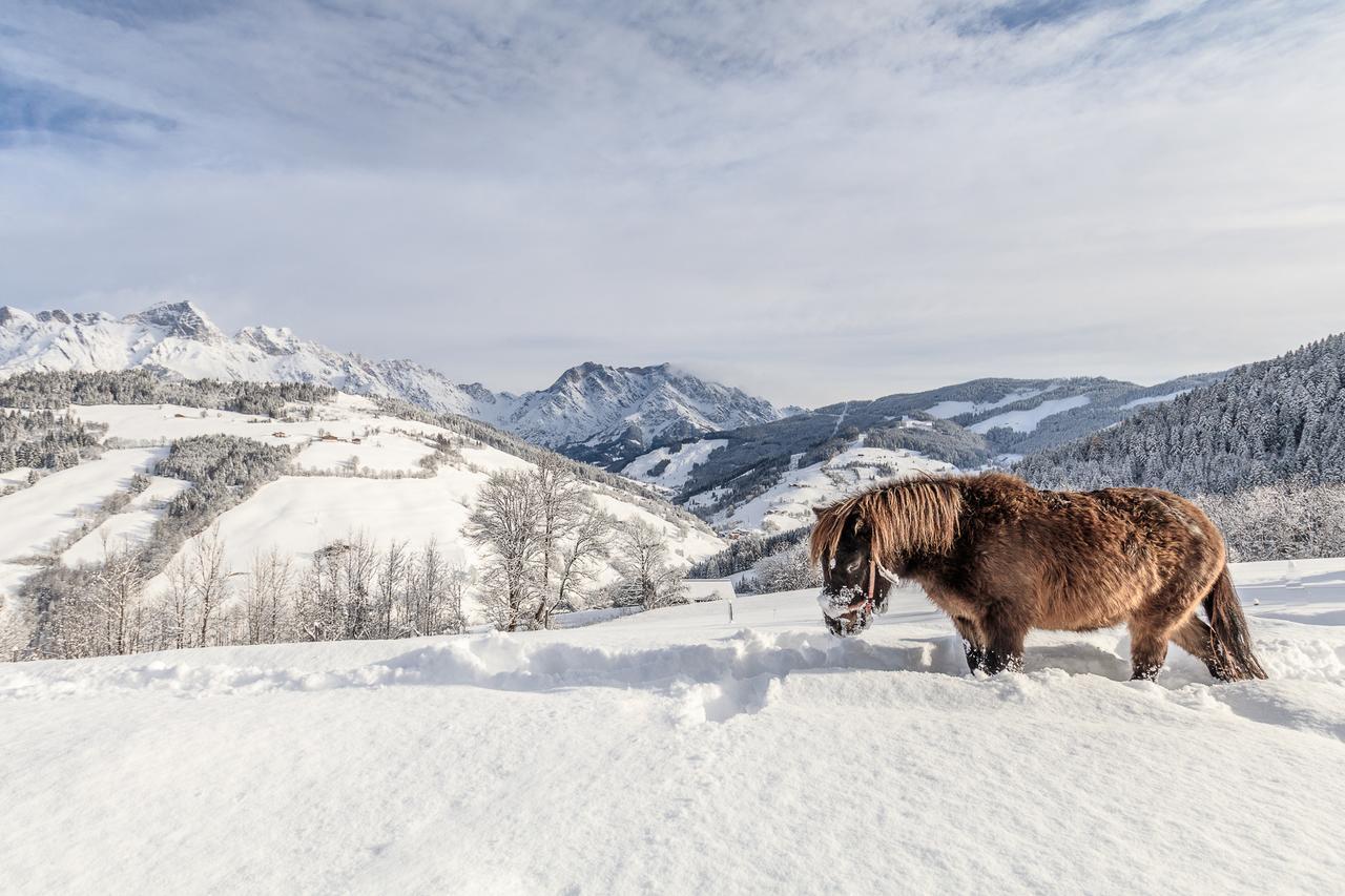 Christernhof Villa Maria Alm am Steinernen Meer Eksteriør billede